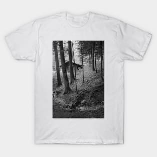 A Cabin in the Swiss Woods. Vallorbe, Jura, Switzerland T-Shirt